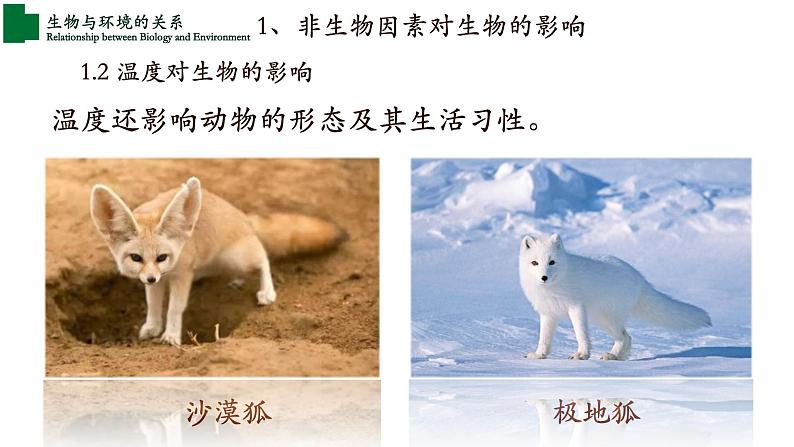 1.2.1+生物与环境的关系+(第一课时)-【精华备课】2023-2024学年七年级生物上册同步教学课件(人教版)07