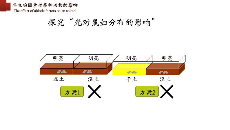 1.2.1+生物与环境的关系(第二课时)-【精华备课】2023-2024学年七年级生物上册同步教学课件(人教版)08