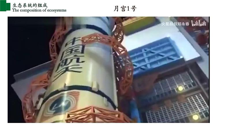 1.2.2+生物与环境组成生态系统(第一课时)-【精华备课】2023-2024学年七年级生物上册同步教学课件(人教版)03