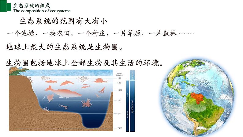 1.2.2+生物与环境组成生态系统(第一课时)-【精华备课】2023-2024学年七年级生物上册同步教学课件(人教版)05
