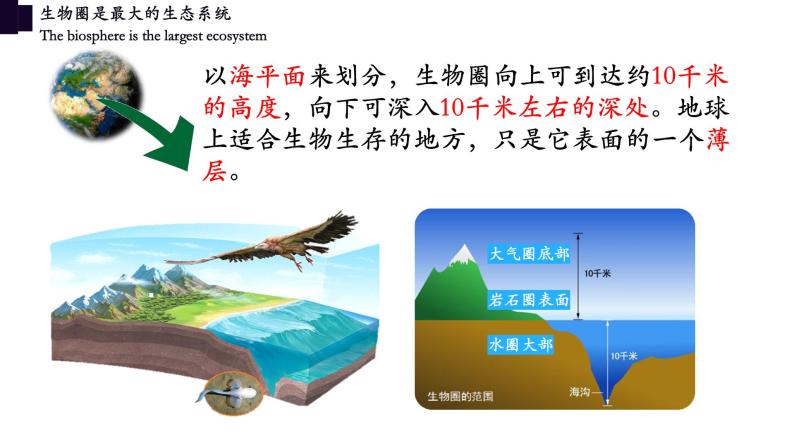 1.2.3+生物圈是最大的生态系统-【精华备课】2023-2024学年七年级生物上册同步教学课件（人教版）05