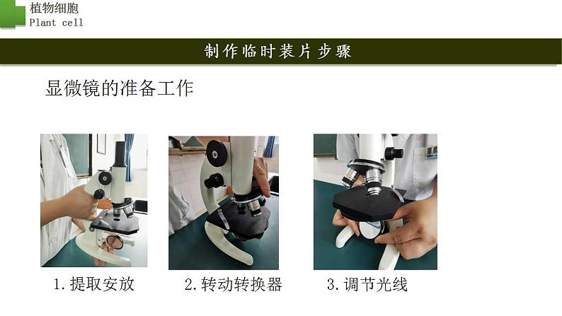 2.1.2 植物细胞第8页