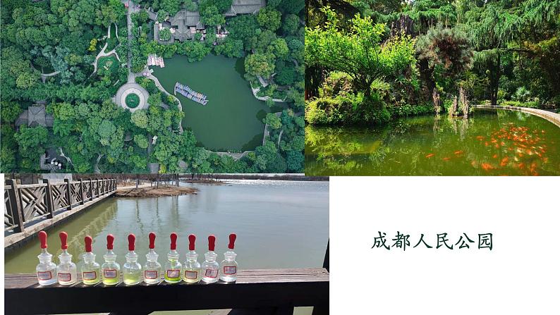 2.2.4 单细胞生物第3页