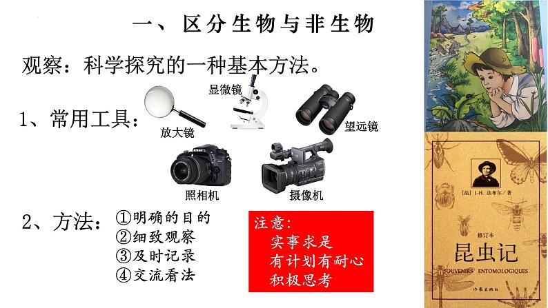 1.1.1 生物的特征-【新课标】2023-2024学年七年级生物上册精选课件(人教版)第3页