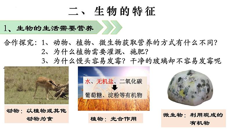 1.1.1 生物的特征-【新课标】2023-2024学年七年级生物上册精选课件(人教版)第5页