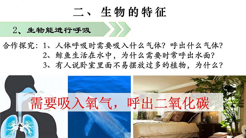1.1.1 生物的特征-【新课标】2023-2024学年七年级生物上册精选课件(人教版)第6页