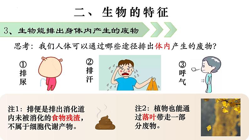 1.1.1 生物的特征-【新课标】2023-2024学年七年级生物上册精选课件(人教版)第8页