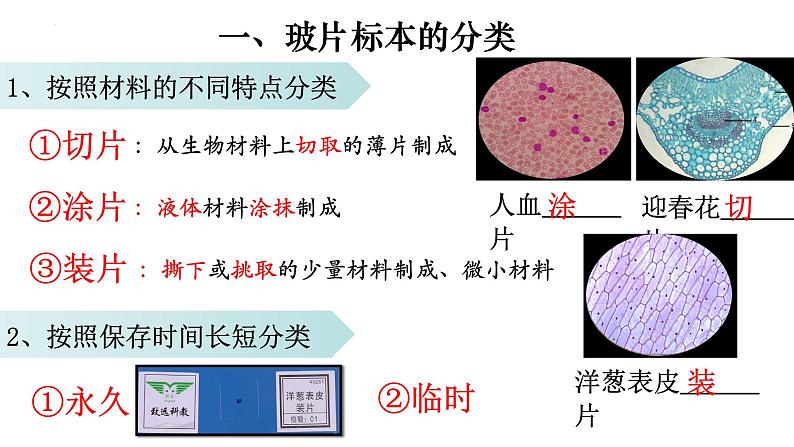 2.1.2 植物细胞-【新课标】2023-2024学年七年级生物上册精选课件(人教版)第3页
