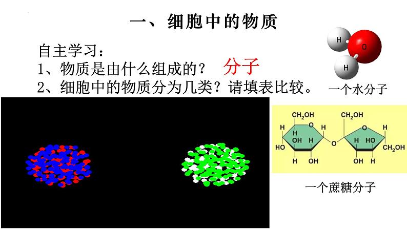2.1.4 细胞的生活-【新课标】2023-2024学年七年级生物上册精选课件(人教版)03