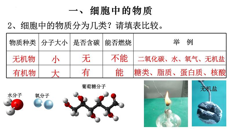 2.1.4 细胞的生活-【新课标】2023-2024学年七年级生物上册精选课件(人教版)04