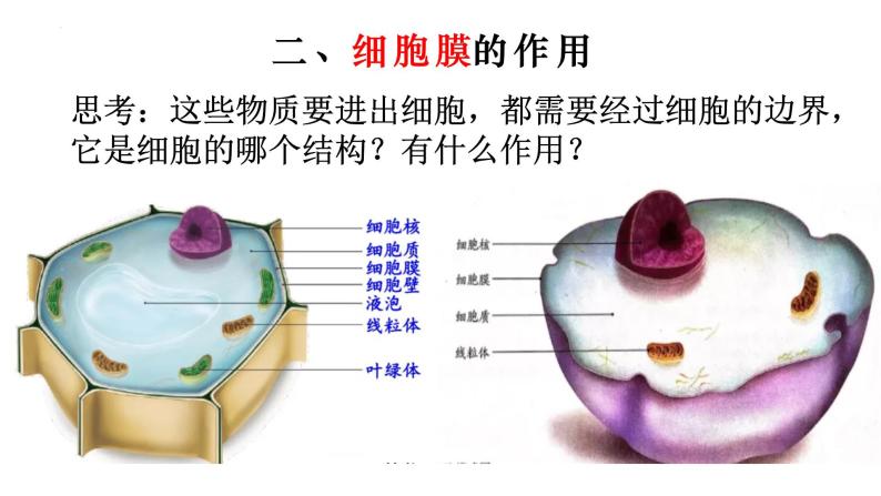 2.1.4 细胞的生活-【新课标】2023-2024学年七年级生物上册精选课件（人教版）05