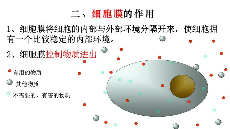 2.1.4 细胞的生活-【新课标】2023-2024学年七年级生物上册精选课件（人教版）06