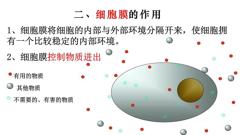 2.1.4 细胞的生活-【新课标】2023-2024学年七年级生物上册精选课件(人教版)06