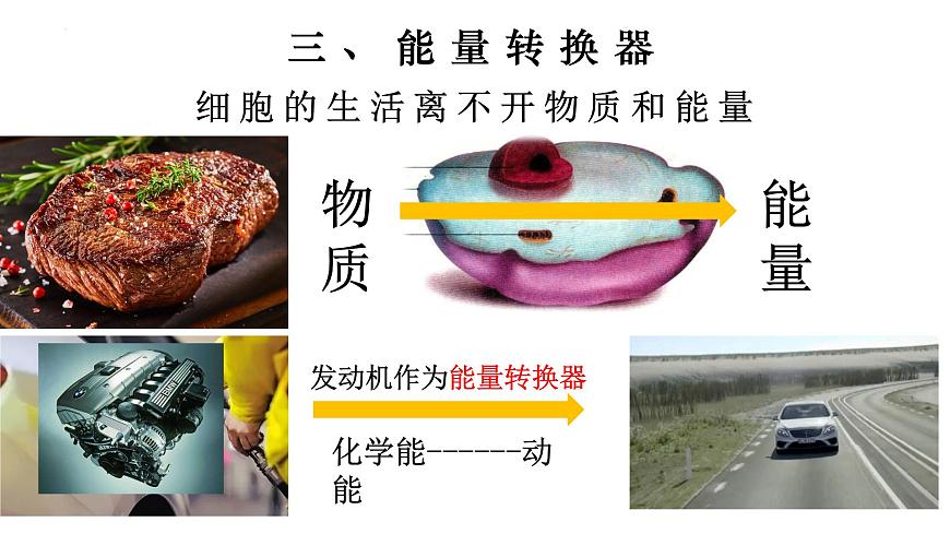 2.1.4 細(xì)胞的生活-【新課標(biāo)】2023-2024學(xué)年七年級(jí)生物上冊(cè)精選課件（人教版）第8頁(yè)