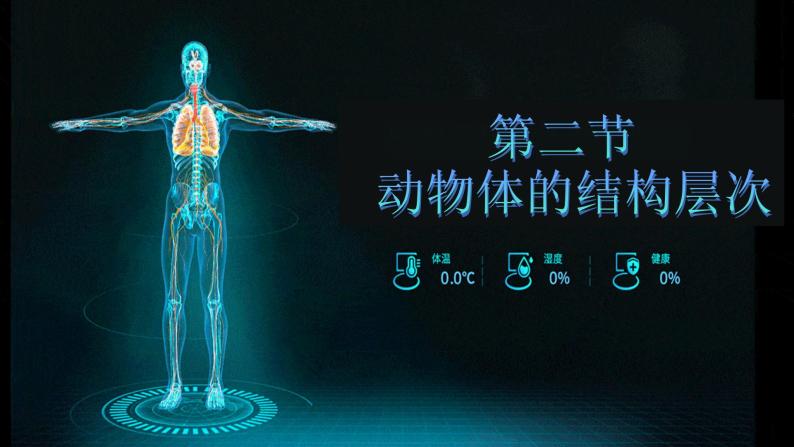 2.2.2 动物体的结构层次-【新课标】2023-2024学年七年级生物上册精选课件（人教版）01