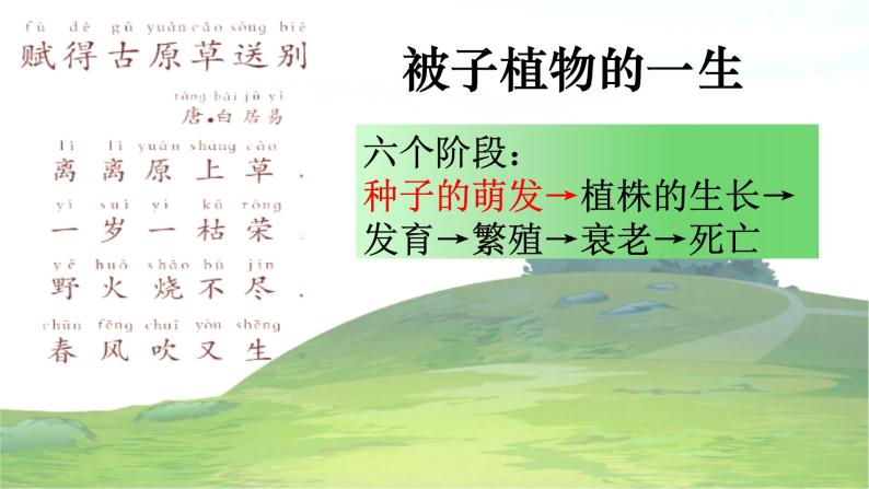 3.2.1 种子的萌发-【新课标】2023-2024学年七年级生物上册精选课件（人教版）02