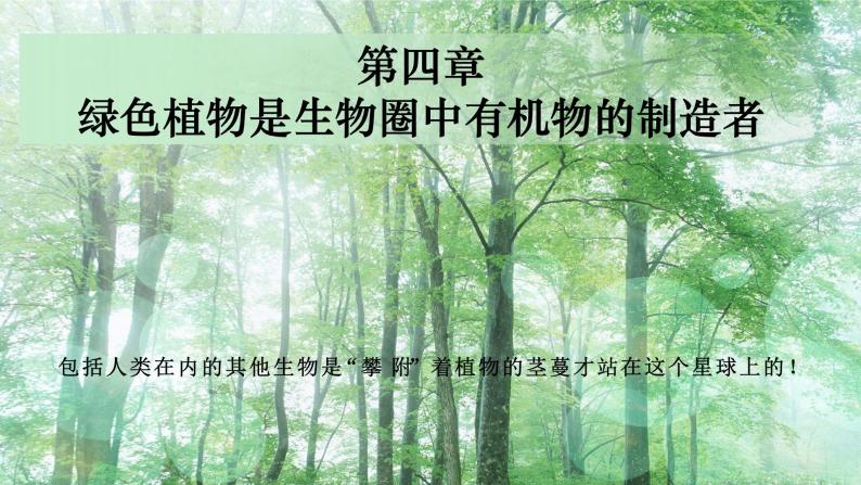 3.4 绿色植物是生物圈中有机物的制造者-【新课标】2023-2024学年七年级生物上册精选课件（人教版）01