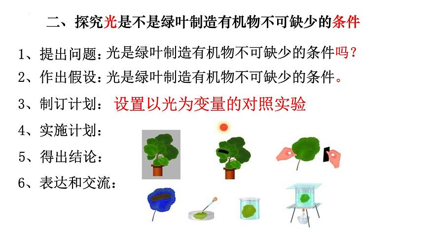 3.4 綠色植物是生物圈中有機(jī)物的制造者-【新課標(biāo)】2023-2024學(xué)年七年級(jí)生物上冊(cè)精選課件（人教版）第5頁