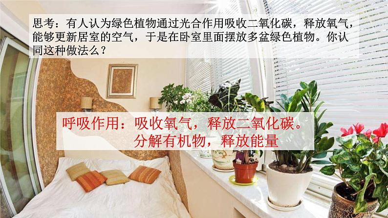 3.5.2 绿色植物的呼吸作用-【新课标】2023-2024学年七年级生物上册精选课件(人教版)第2页
