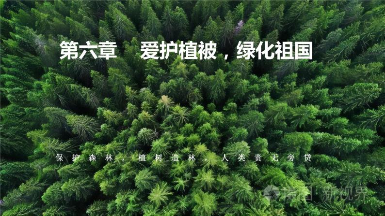 3.6 爱护植被，绿化祖国-【新课标】2023-2024学年七年级生物上册精选课件（人教版）01