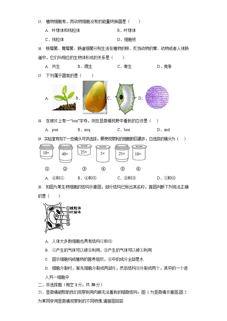 河南省郑州市2023—2024学年七年级上学期期中评估检测生物模拟试卷第3页
