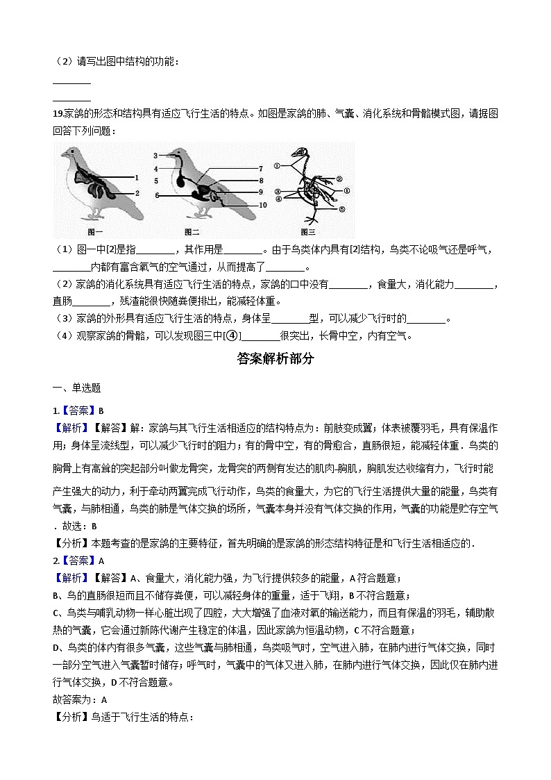 人教版八年級(jí)上冊(cè)生物 5.1.6鳥(niǎo) 同步測(cè)試（解析版）第3頁(yè)