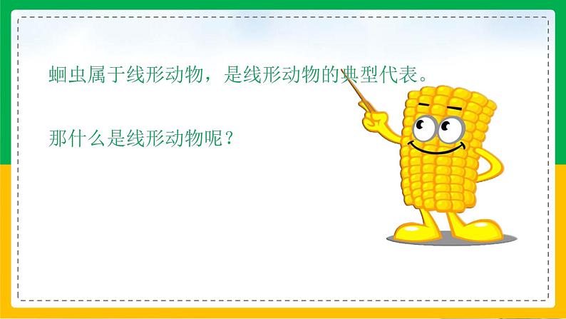 5.1.2+线形动物和扁形动物(教学课件)-2023-2024学年八年级生物上册同步精品课堂(人教版)第4页