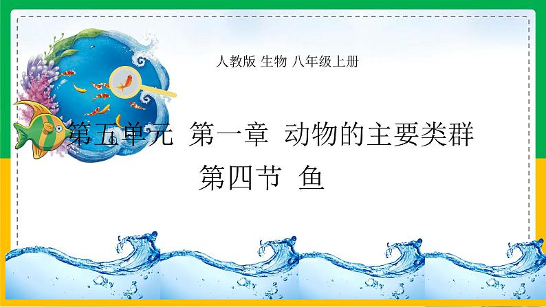 5.1.4+鱼(教学课件)-2023-2024学年八年级生物上册同步精品课堂(人教版)第1页