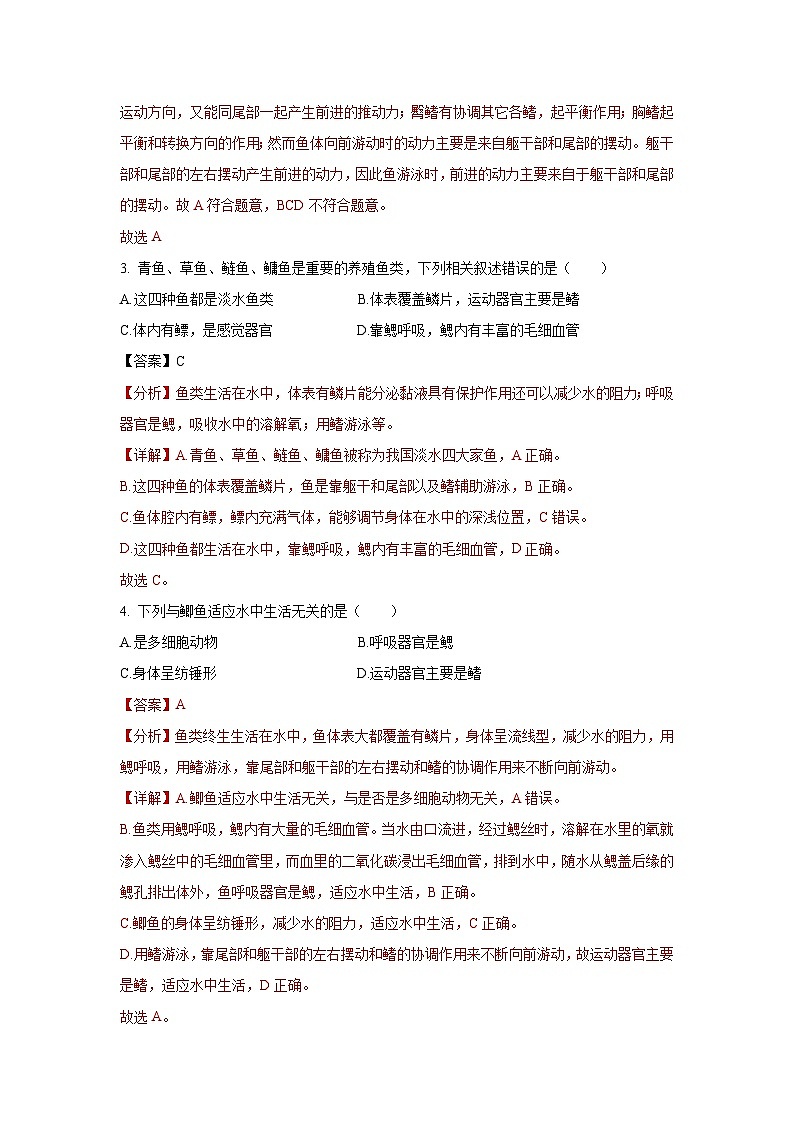 5.14 鱼(分层练习)(解析版)第2页