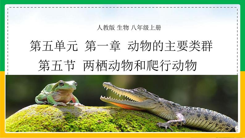 5.1.5+两栖动物和爬行动物(教学课件)-2023-2024学年八年级生物上册同步精品课堂(人教版)第1页