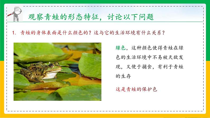 5.1.5+两栖动物和爬行动物(教学课件)-2023-2024学年八年级生物上册同步精品课堂(人教版)第5页