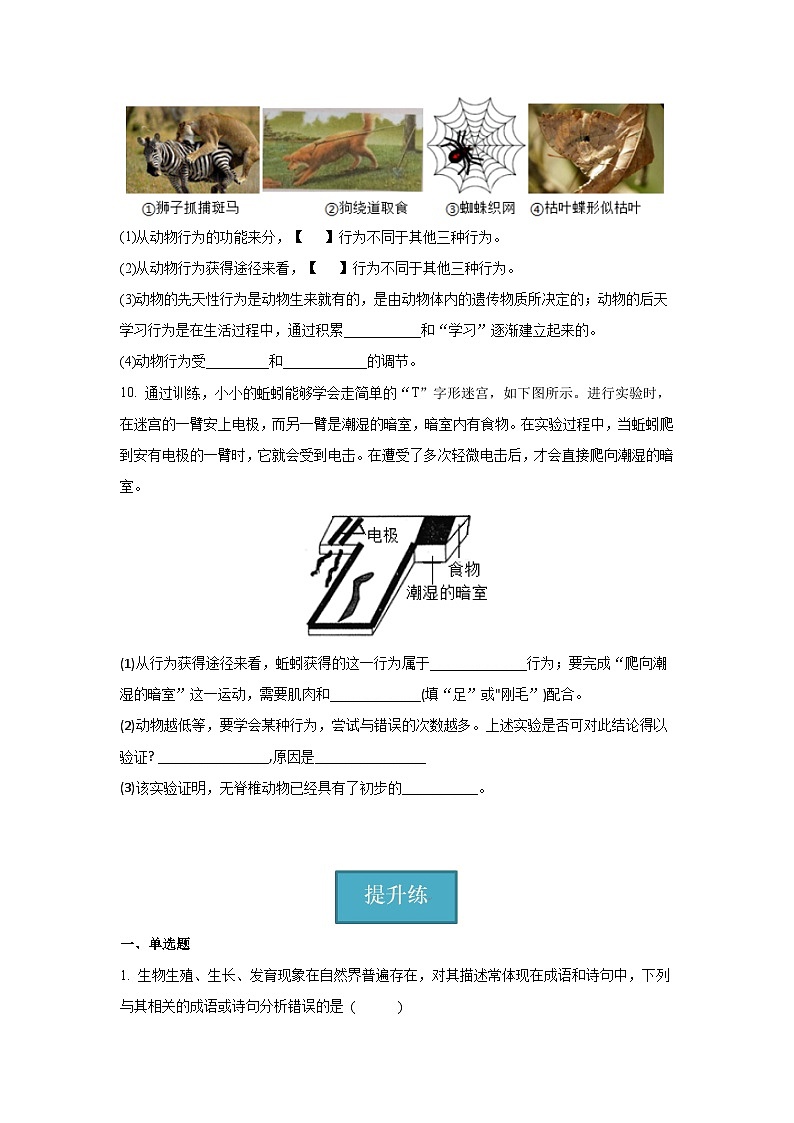 5.2.2 先天性行为和学习行为 (原卷版)第2页