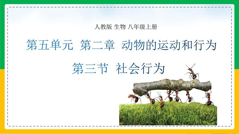 5.2.3+社会行为(同步课件+同步练习)-2023-2024学年八年级生物上册同步精品课堂(人教版)01
