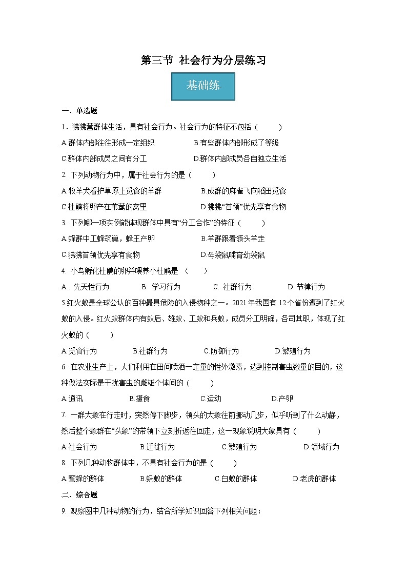 5.2.3+社会行为(同步课件+同步练习)-2023-2024学年八年级生物上册同步精品课堂(人教版)01