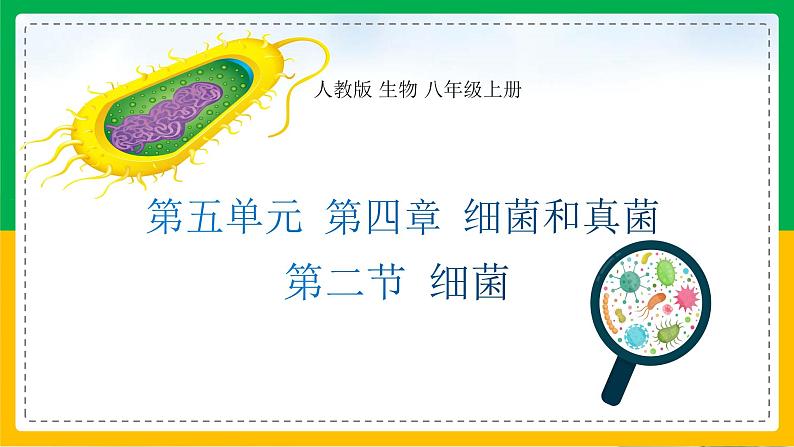 5.4.2+细菌(教学课件)-2023-2024学年八年级生物上册同步精品课堂(人教版)第1页