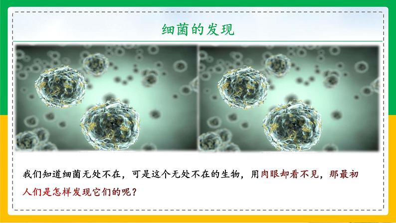 5.4.2+细菌(教学课件)-2023-2024学年八年级生物上册同步精品课堂(人教版)第3页