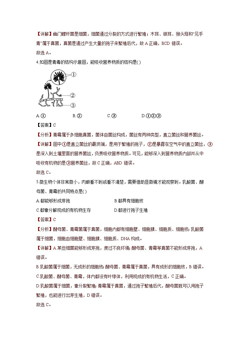 5.4.3 真菌(分层练习)(解析版)第2页