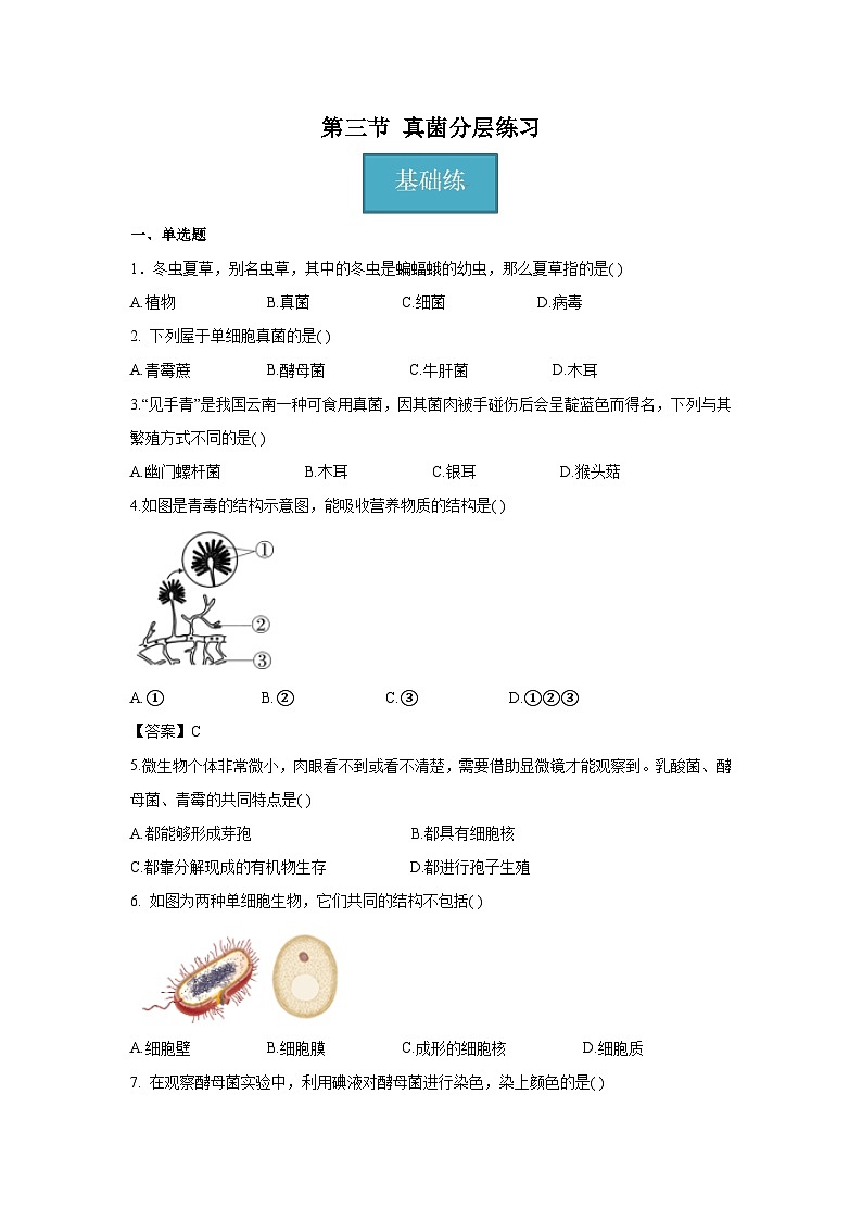 5.4.3 真菌(分层练习)(原卷版)第1页