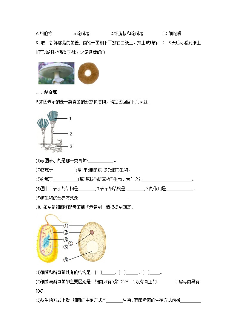 5.4.3 真菌(分层练习)(原卷版)第2页