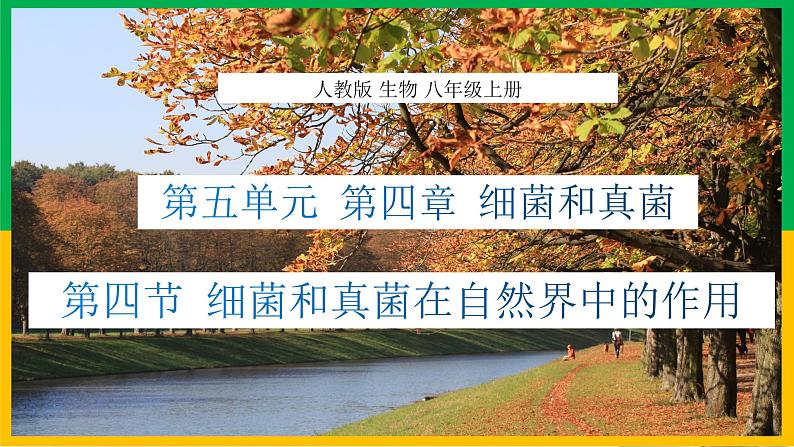5.4.4+细菌和真菌在自然界中的作用(教学课件)-2023-2024学年八年级生物上册同步精品课堂(人教版)第1页