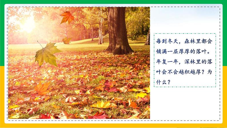 5.4.4+细菌和真菌在自然界中的作用(教学课件)-2023-2024学年八年级生物上册同步精品课堂(人教版)第2页