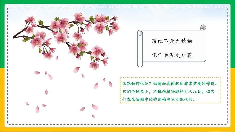 5.4.4+细菌和真菌在自然界中的作用(教学课件)-2023-2024学年八年级生物上册同步精品课堂(人教版)第3页