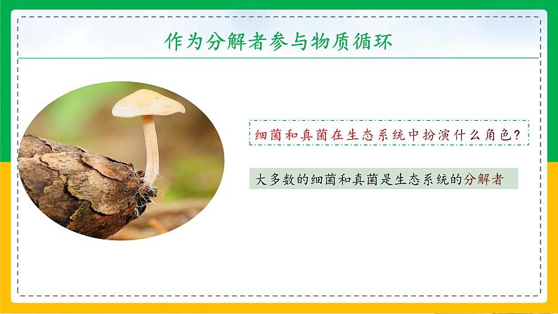 5.4.4+细菌和真菌在自然界中的作用(教学课件)-2023-2024学年八年级生物上册同步精品课堂(人教版)第5页
