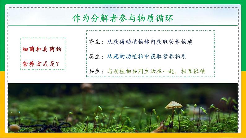 5.4.4+细菌和真菌在自然界中的作用(教学课件)-2023-2024学年八年级生物上册同步精品课堂(人教版)第6页