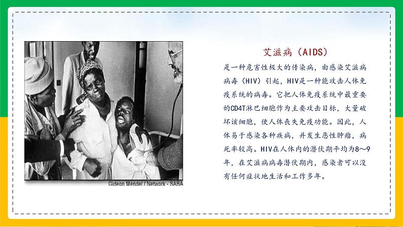 5.5+病毒(教学课件)-2023-2024学年八年级生物上册同步精品课堂(人教版)第4页