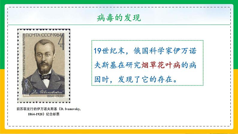 5.5+病毒(教学课件)-2023-2024学年八年级生物上册同步精品课堂(人教版)第6页