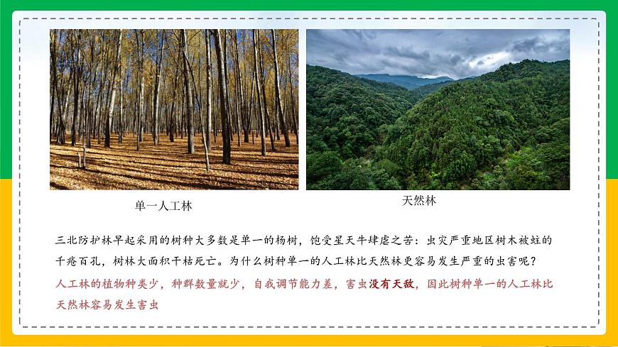 6.2+認(rèn)識(shí)生物的多樣性(教學(xué)課件)-2023-2024學(xué)年八年級(jí)生物上冊(cè)同步精品課堂(人教版)第3頁(yè)
