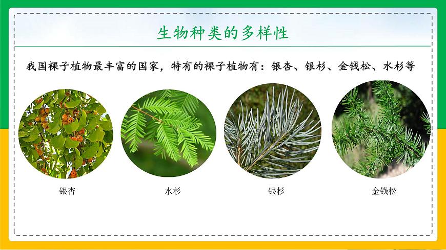 6.2+認(rèn)識(shí)生物的多樣性(教學(xué)課件)-2023-2024學(xué)年八年級(jí)生物上冊(cè)同步精品課堂(人教版)第8頁(yè)