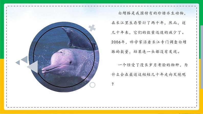 6.3+保护生物的多样性(同步课件+同步练习)-2023-2024学年八年级生物上册同步精品课堂(人教版)03