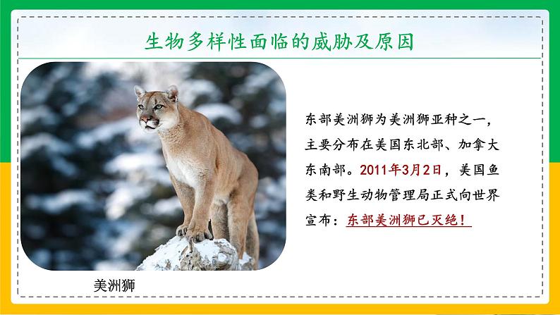 6.3+保护生物的多样性(同步课件+同步练习)-2023-2024学年八年级生物上册同步精品课堂(人教版)04